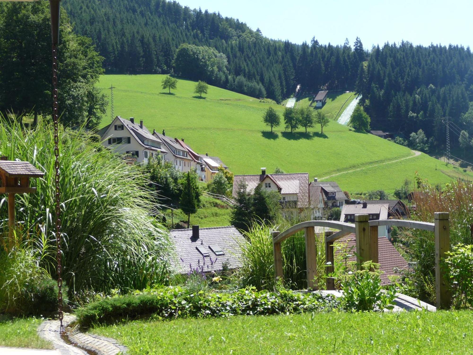 Flair Hotel Adlerbad Bad Peterstal-Griesbach Zewnętrze zdjęcie