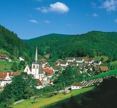 Flair Hotel Adlerbad Bad Peterstal-Griesbach Zewnętrze zdjęcie